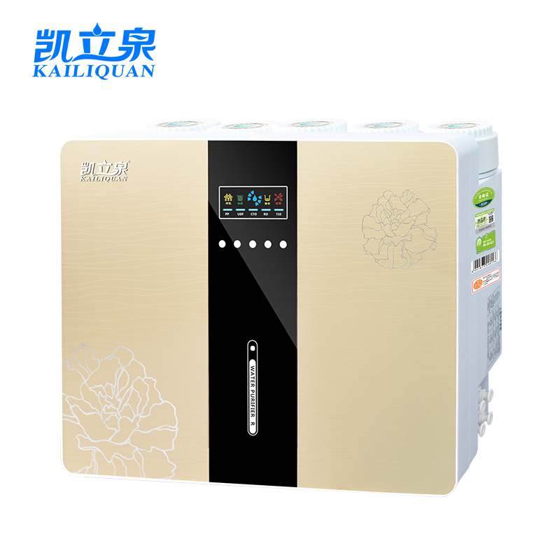 凯立泉豪华反渗透纯水机KLQ-100(Q8)